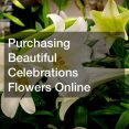 Purchasing Beautiful Celebrations Flowers Online