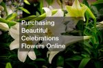 Purchasing Beautiful Celebrations Flowers Online